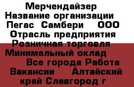 Мерчендайзер › Название организации ­ "Пегас" Самбери-3, ООО › Отрасль предприятия ­ Розничная торговля › Минимальный оклад ­ 23 500 - Все города Работа » Вакансии   . Алтайский край,Славгород г.